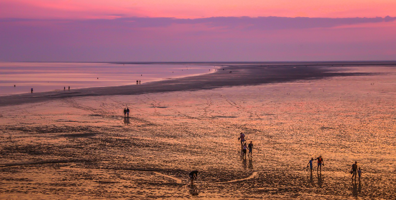 Wattwandern - Wattwanderung an der Nordsee in Butjadingen